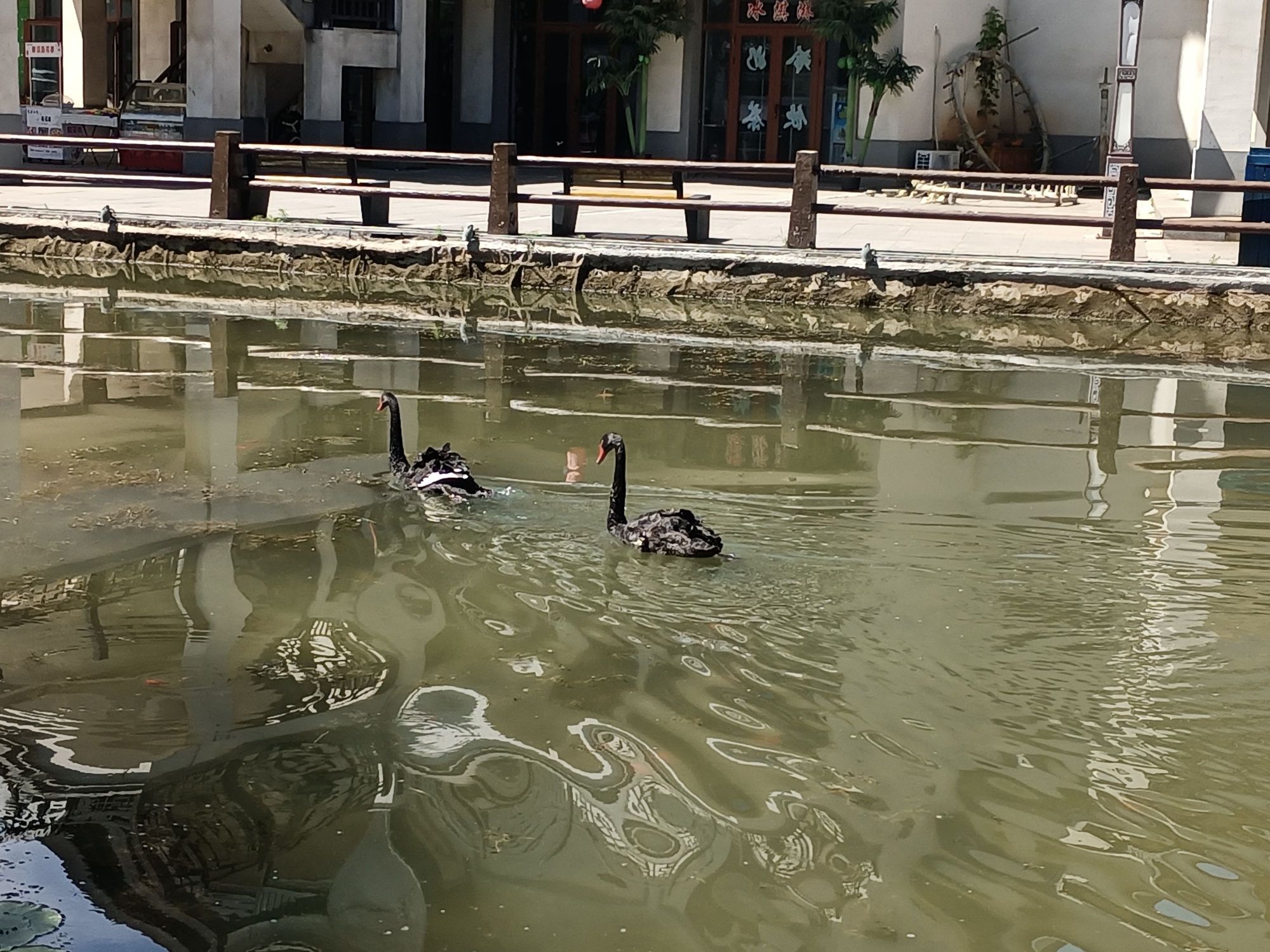 青松岭塞外江南水镇旅行图片 1