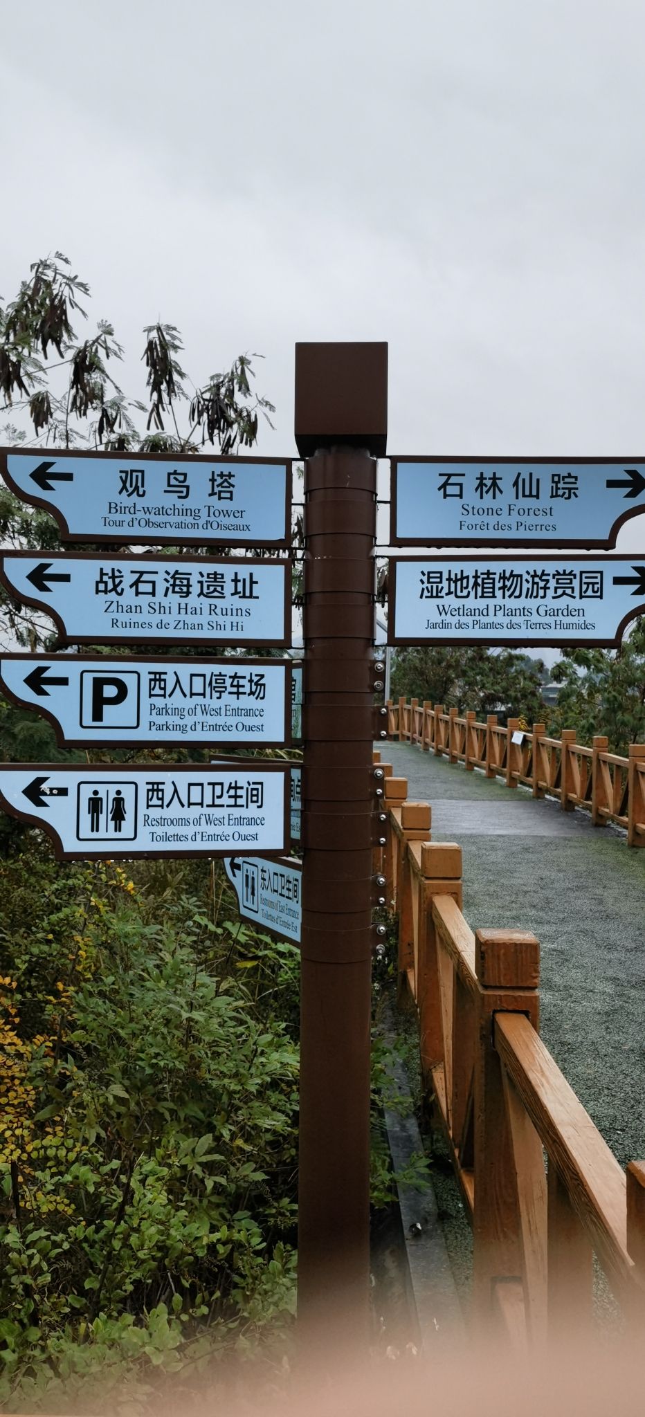 广西都安澄江湿地公园旅行图片 1