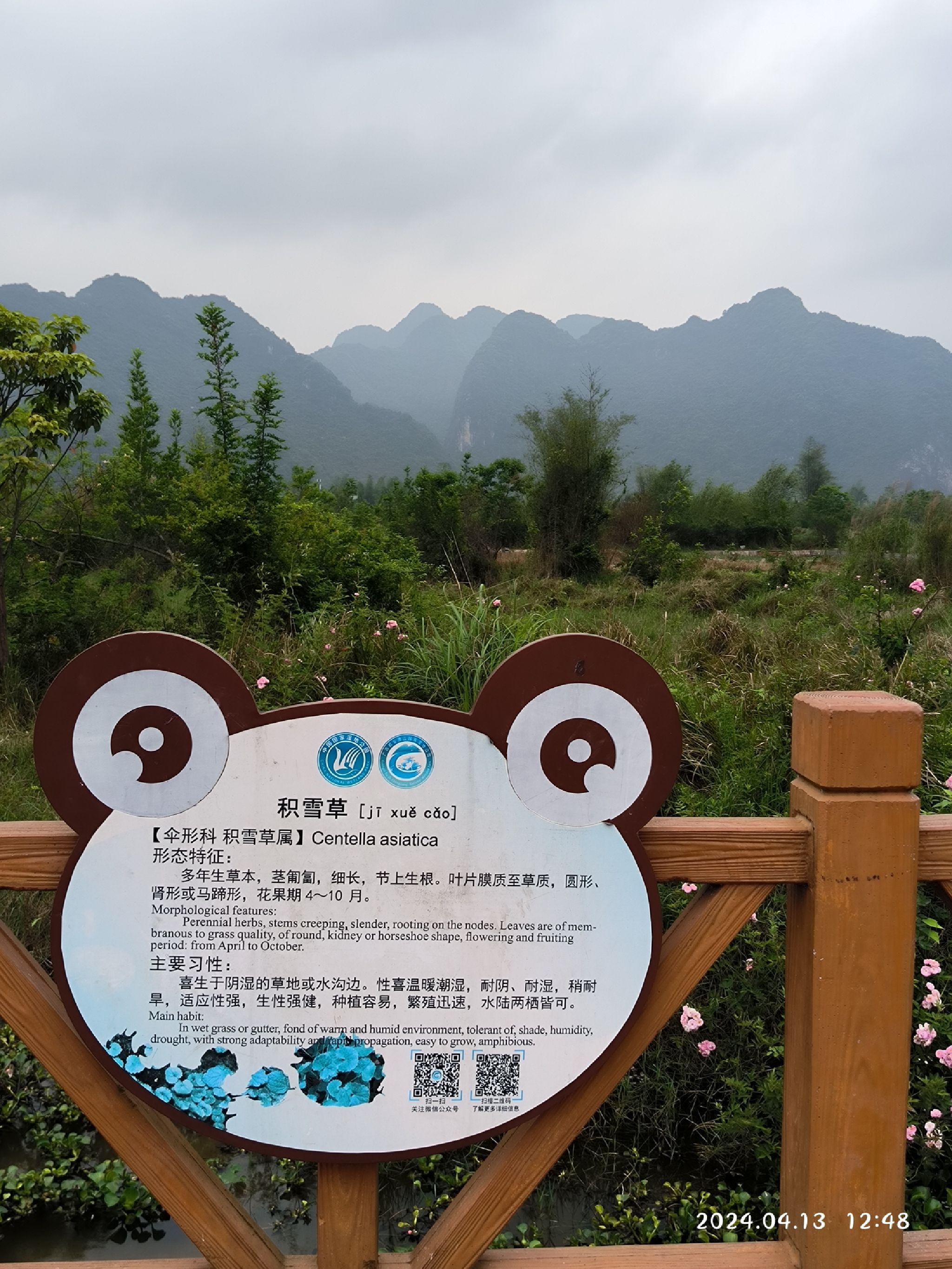 广西都安澄江湿地公园旅行图片 1