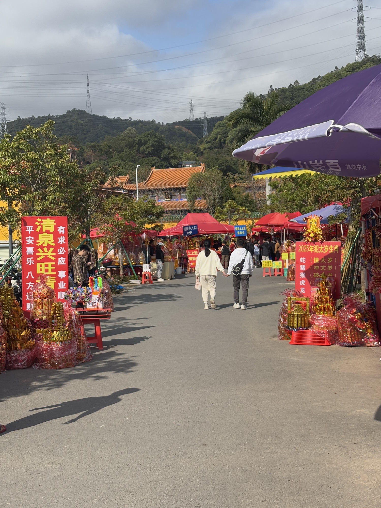 霞涌清泉花海旅行图片 1