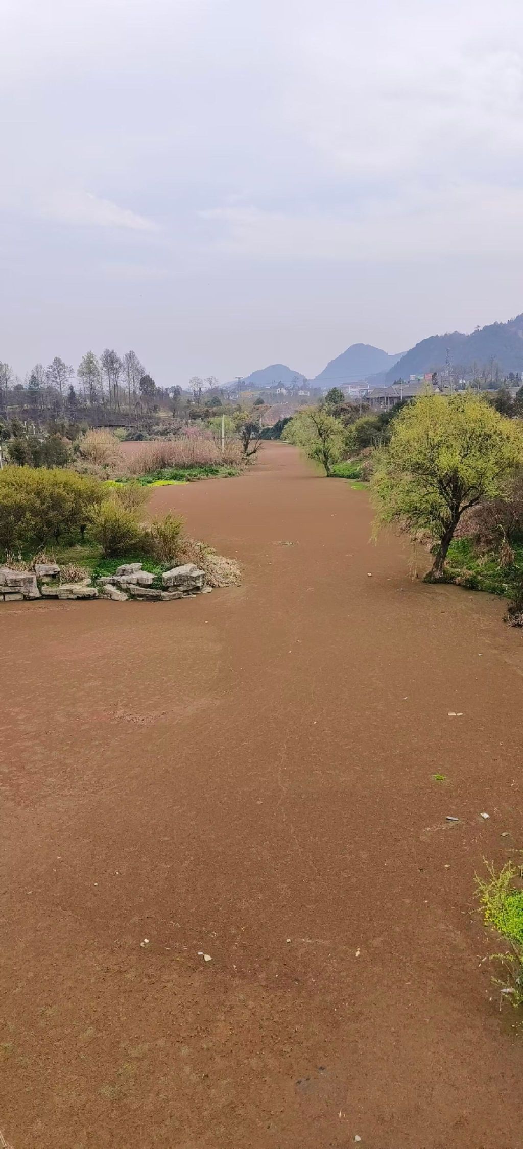 螺江九曲湿地公园旅行图片 2