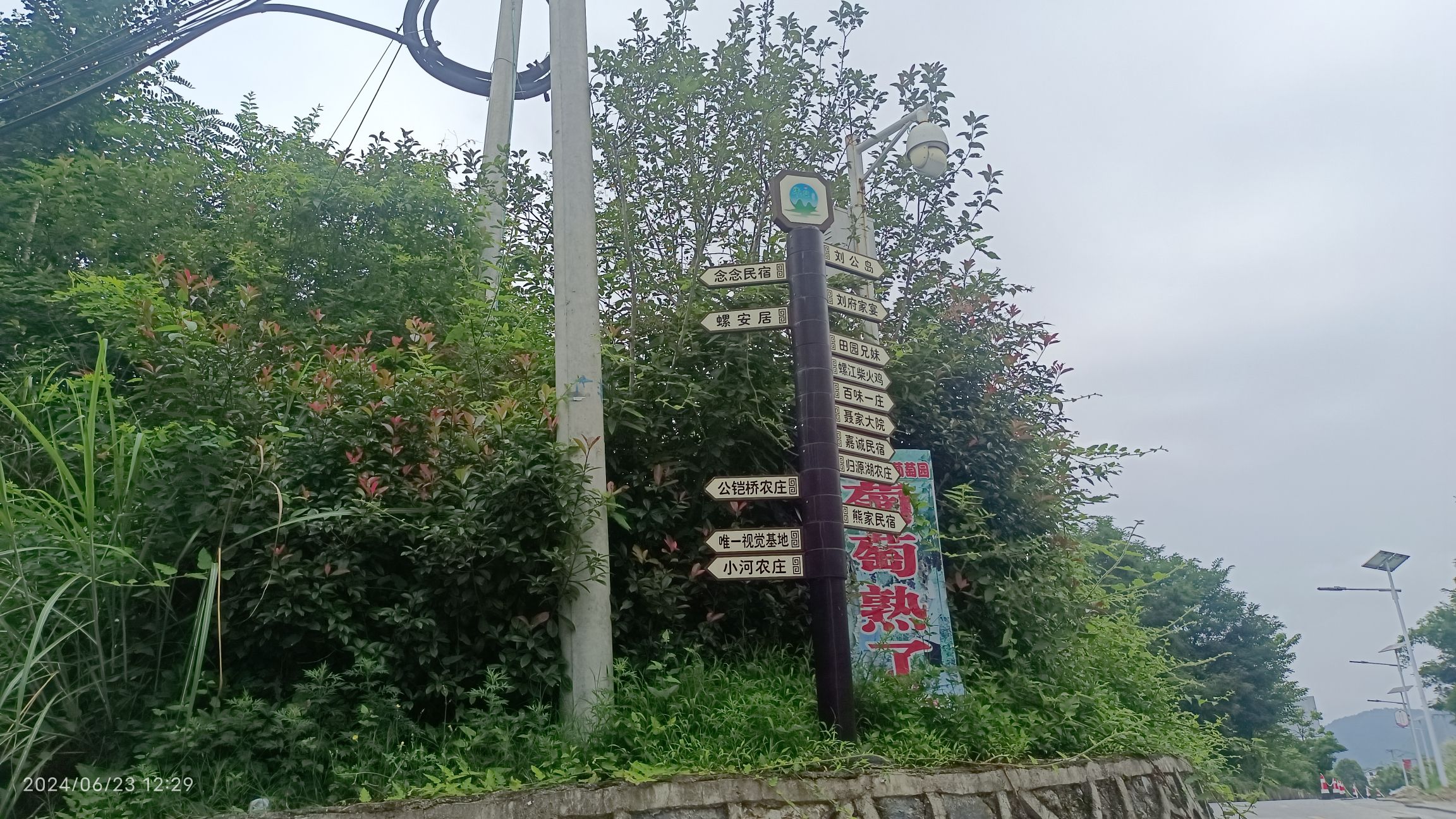 螺江九曲湿地公园旅行图片 2