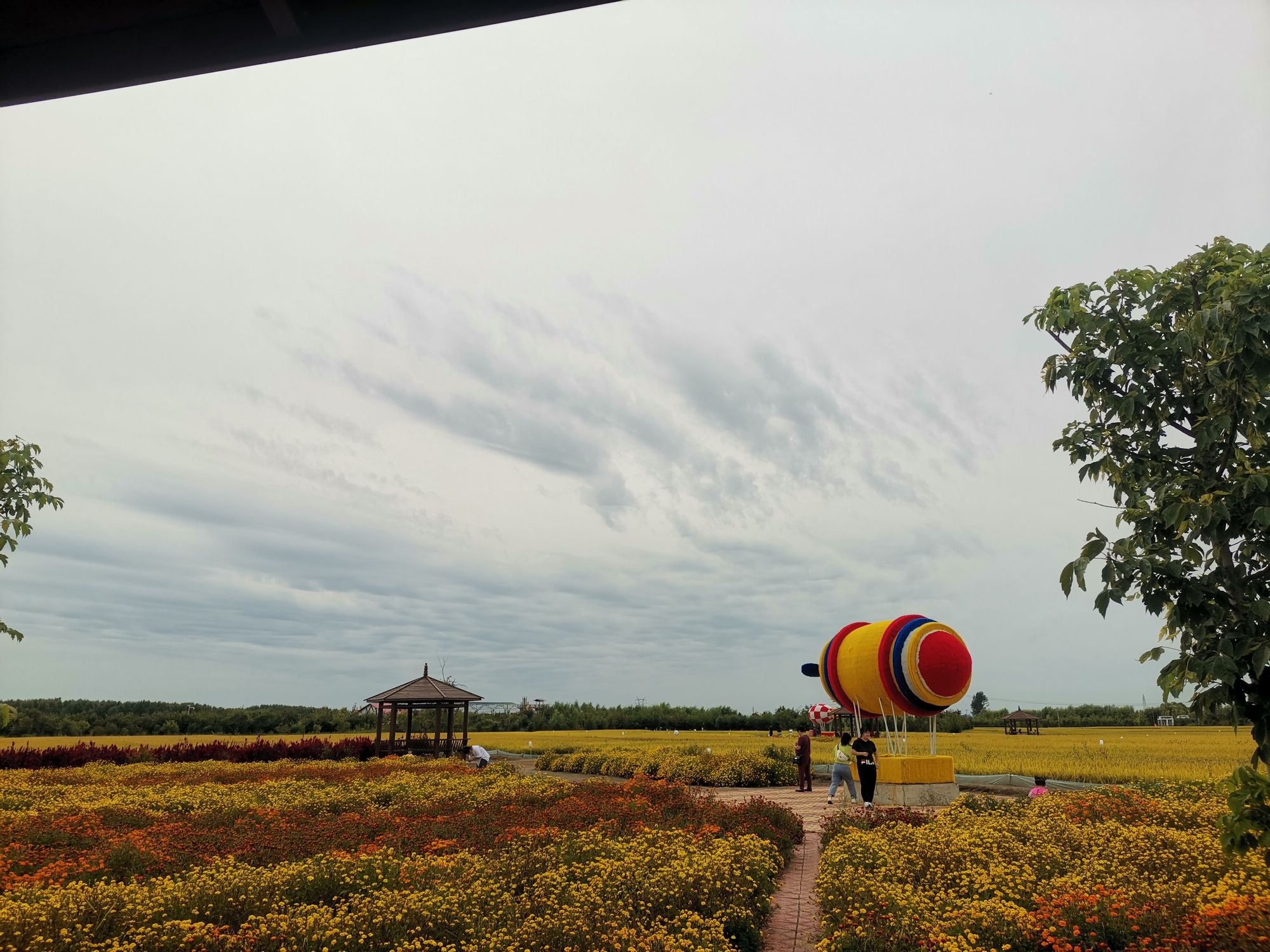 稻田公园旅行图片 2
