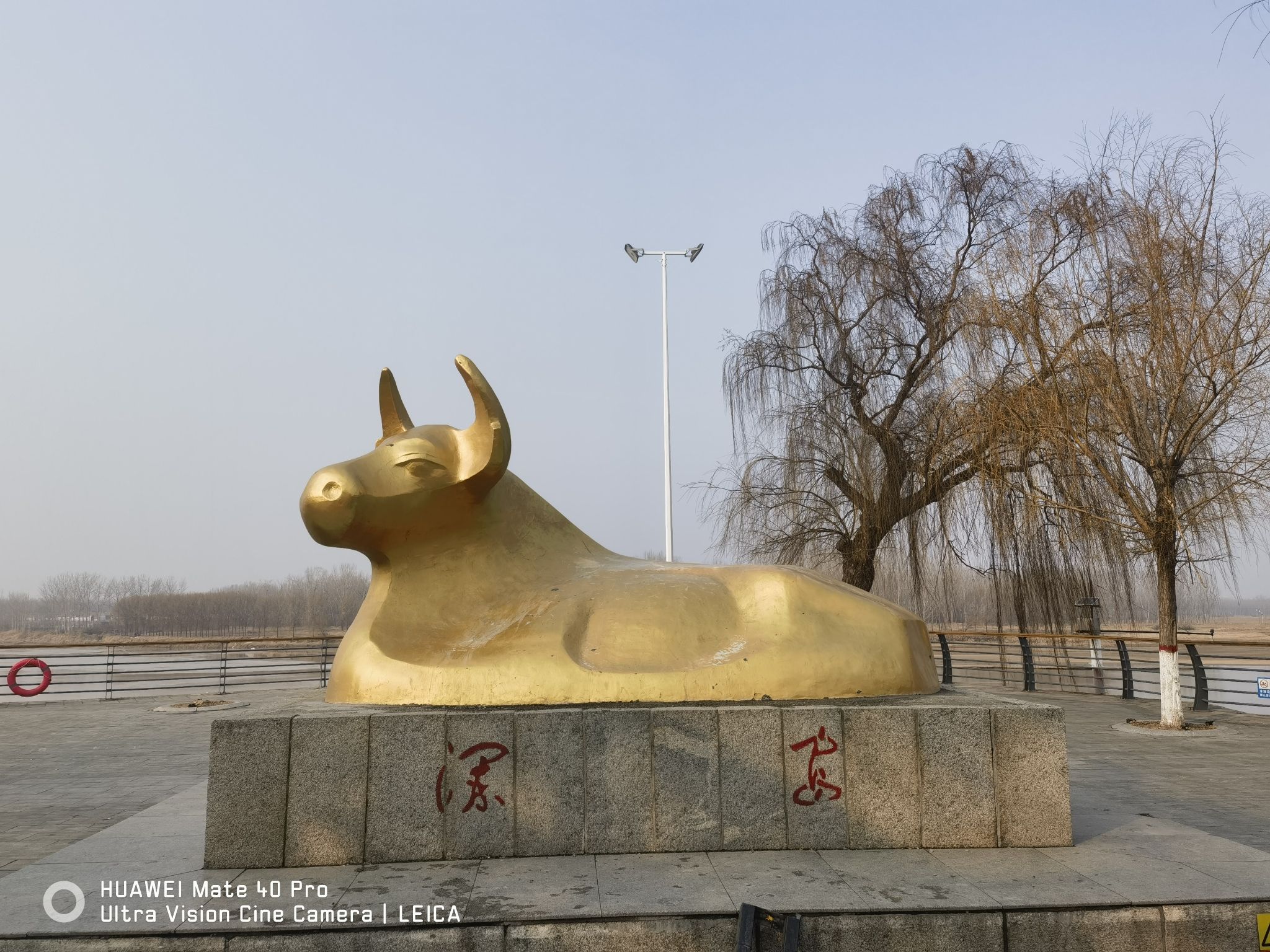 黄河安澜湾景区旅行图片 3