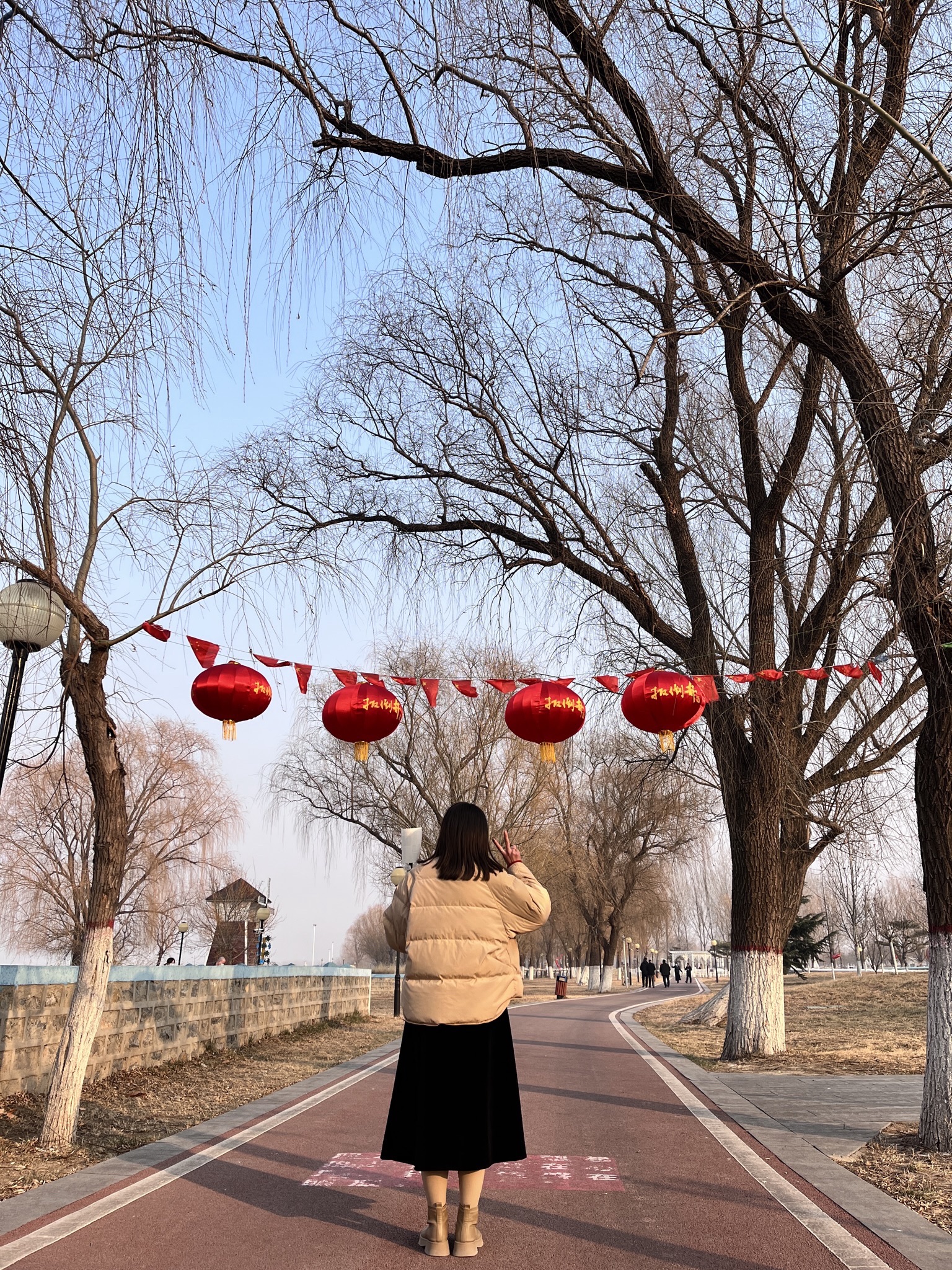 黄河安澜湾景区旅行图片 1