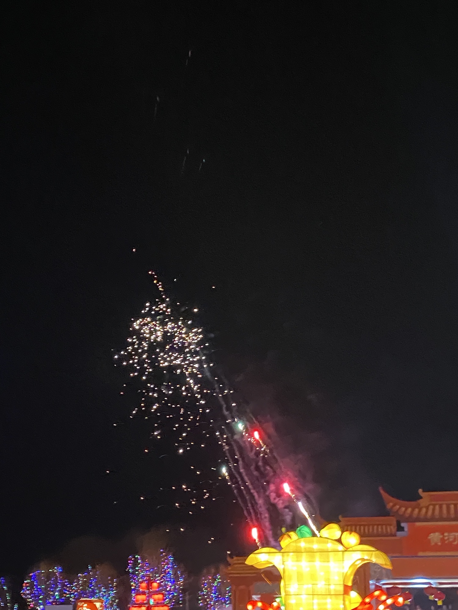 黄河安澜湾景区旅行图片 3