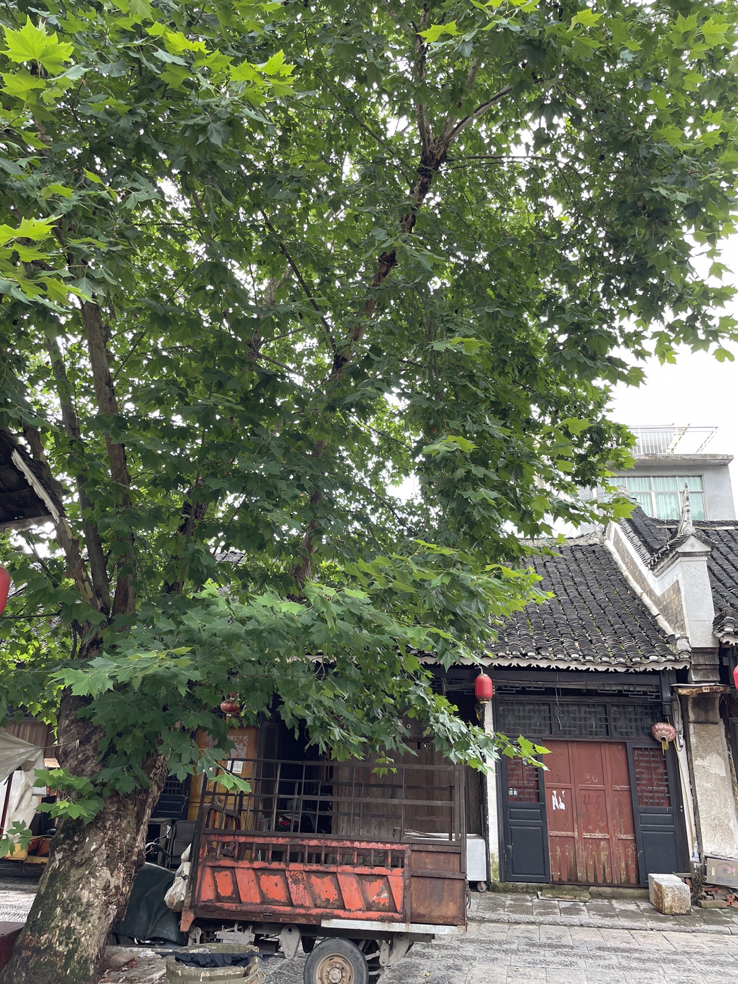 岩脚古镇火焰山文化公园旅行图片 1