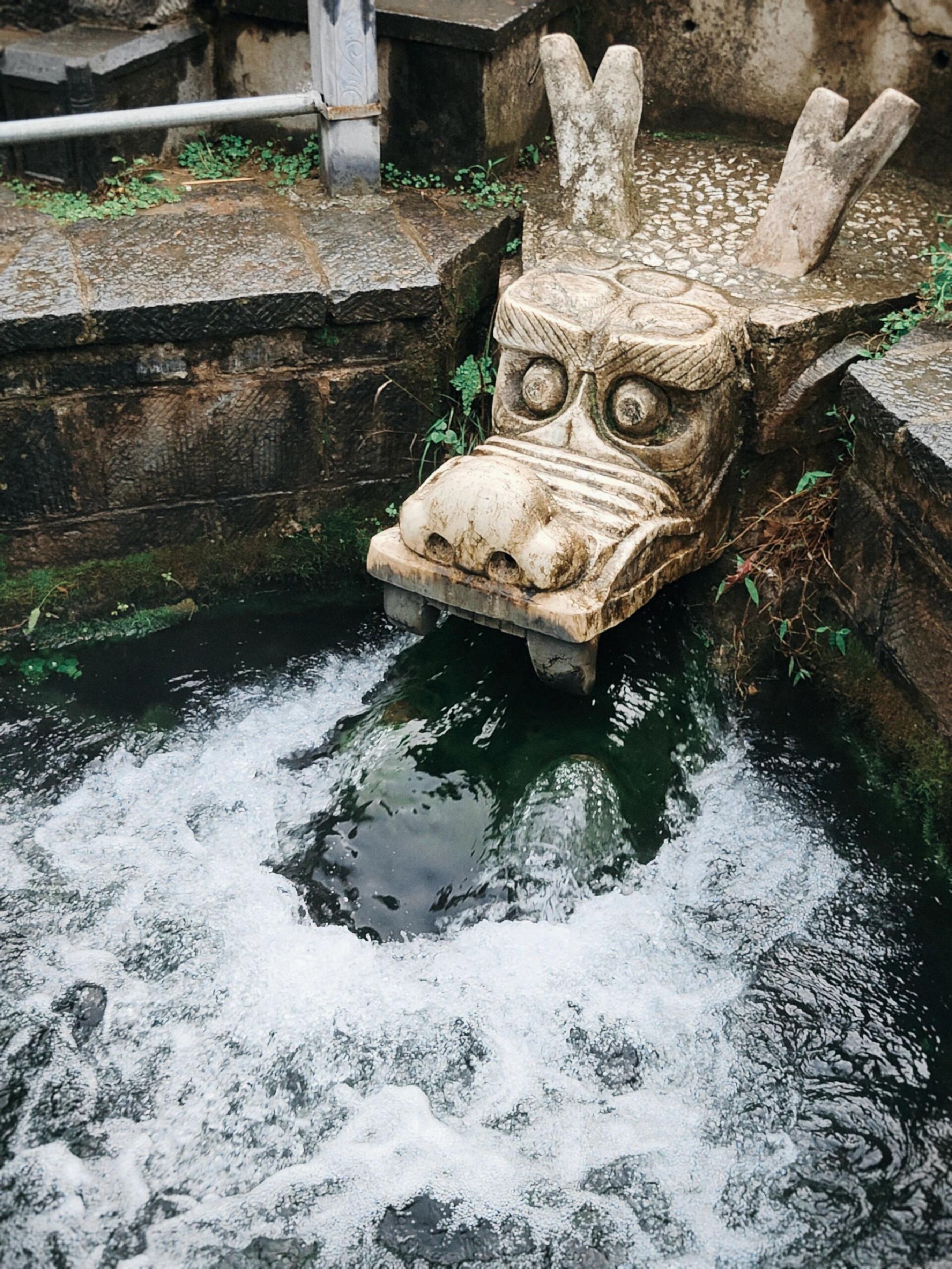 小龙池旅行图片 1