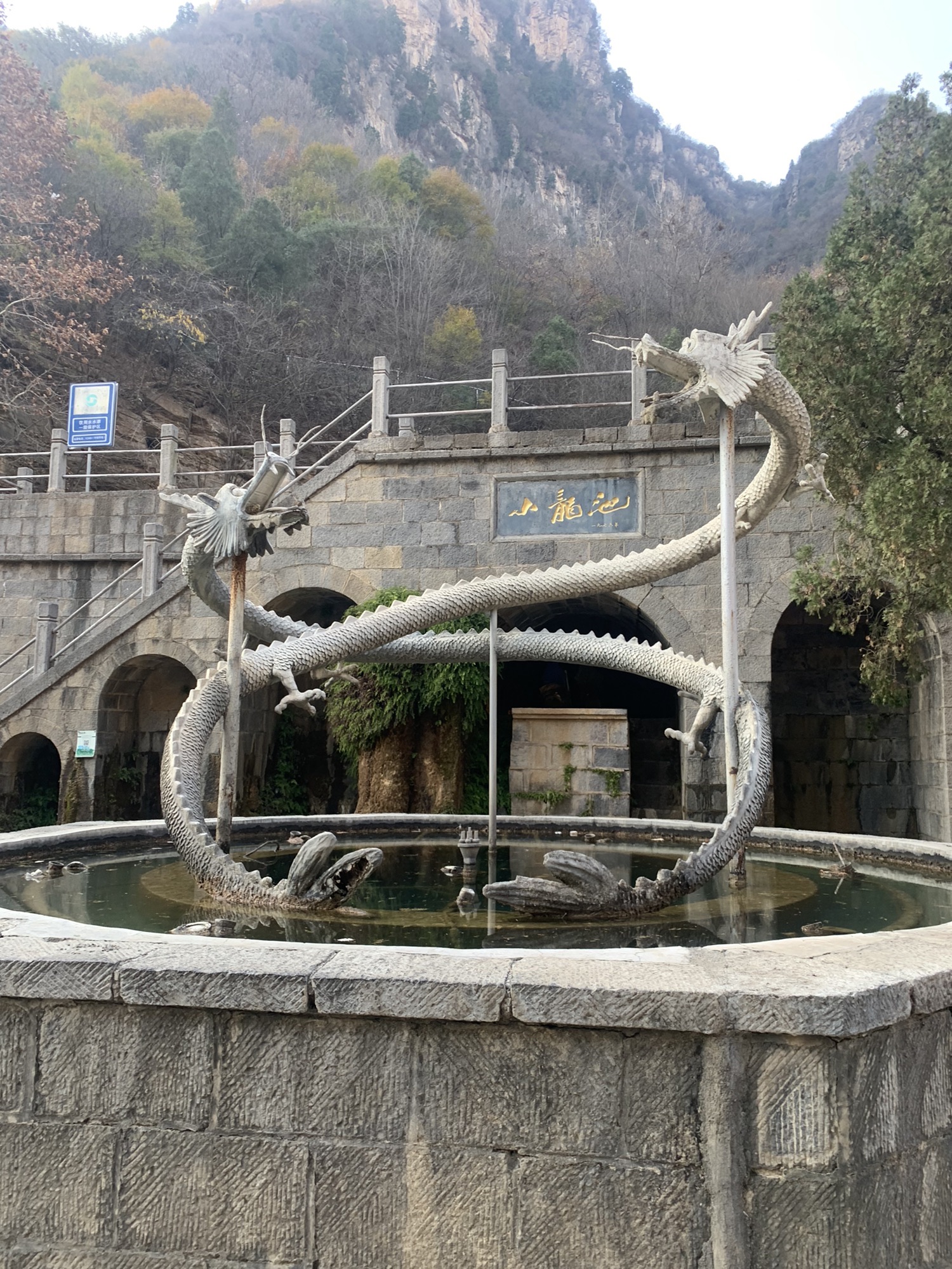 小龙池旅行图片 3