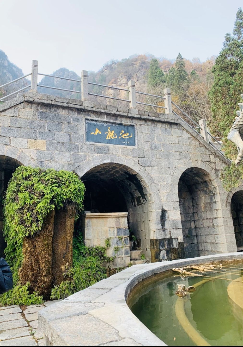 小龙池旅行图片 3
