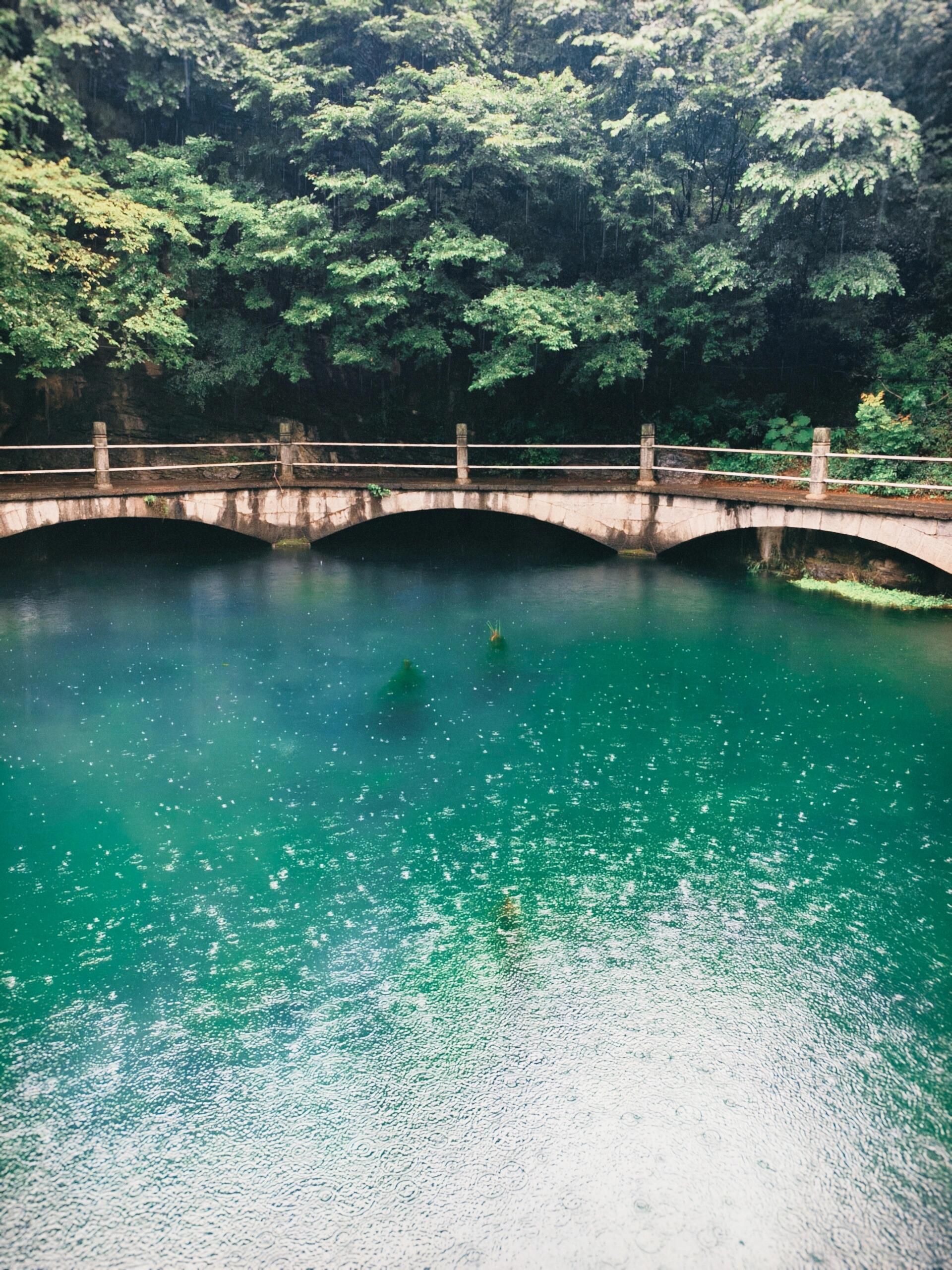 小龙池旅行图片 2