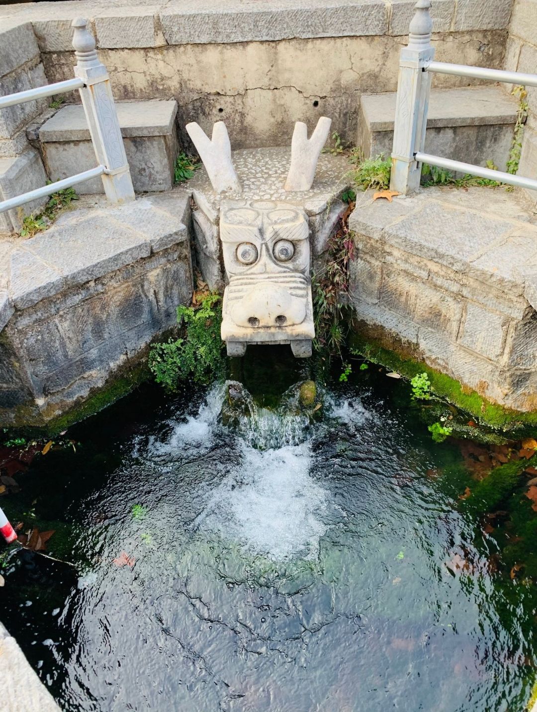 小龙池旅行图片 2