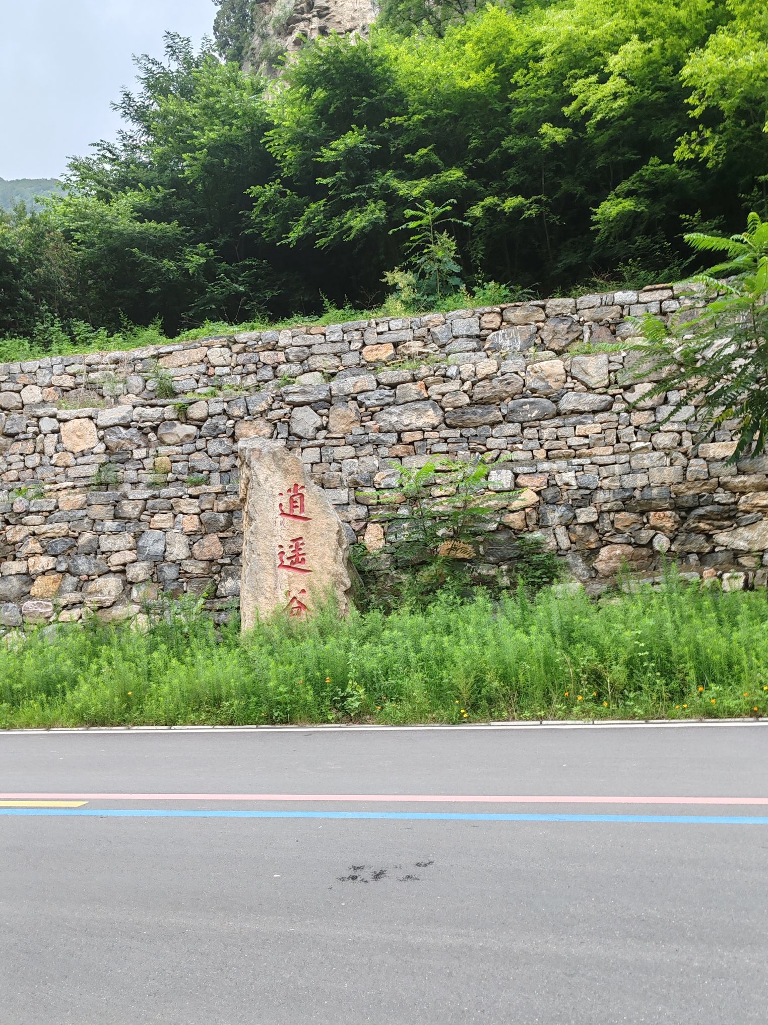 小龙池旅行图片 1