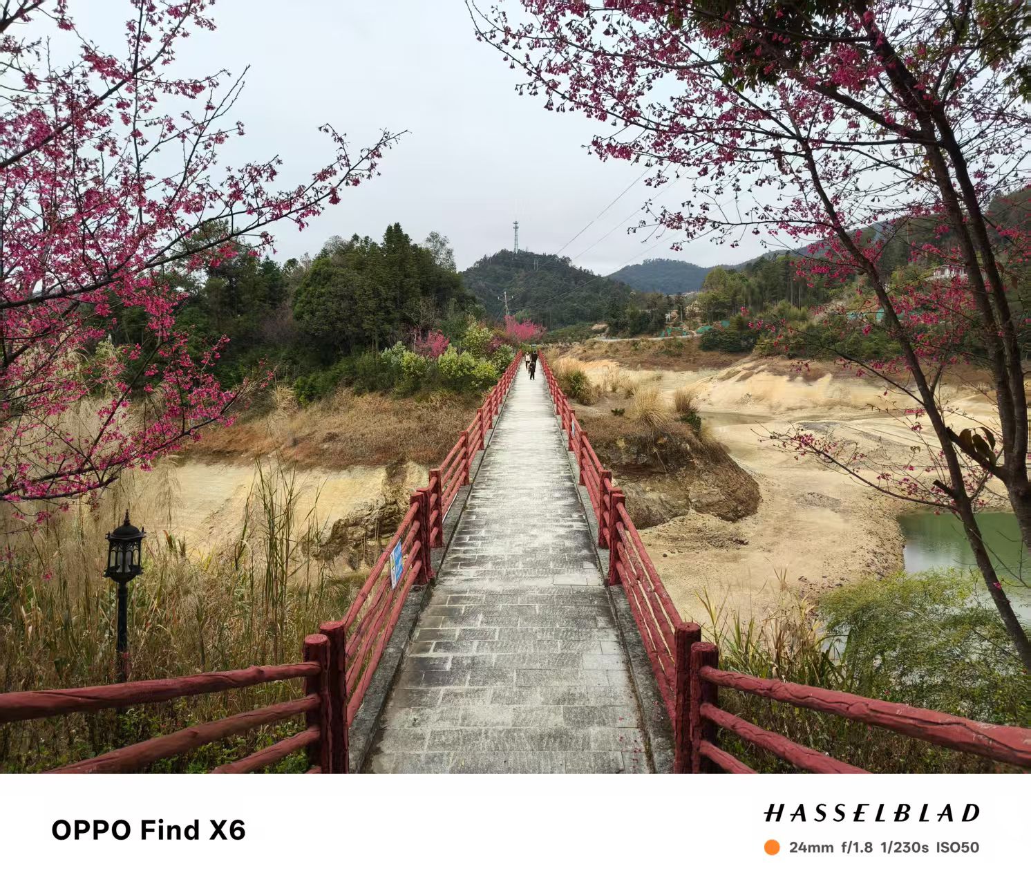 蝴蝶岛旅行图片 1