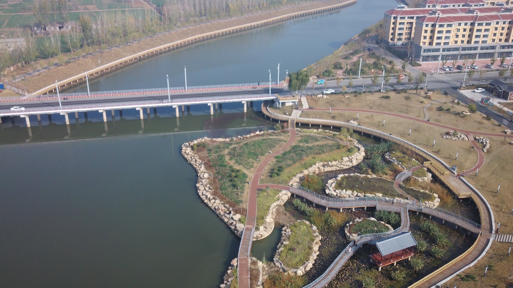 付湾湿地健身公园旅行图片 1