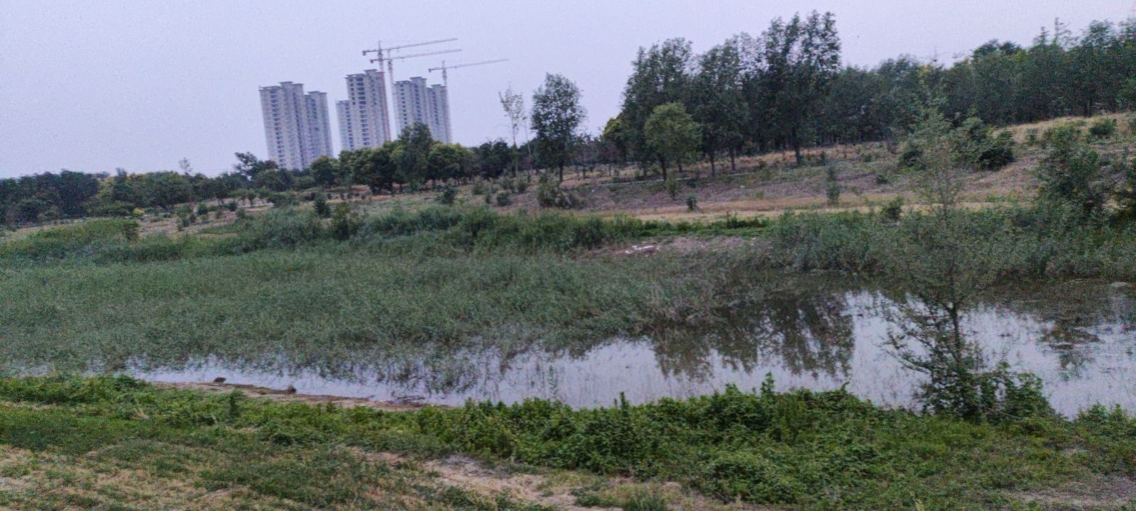 南湖公园旅行图片 2