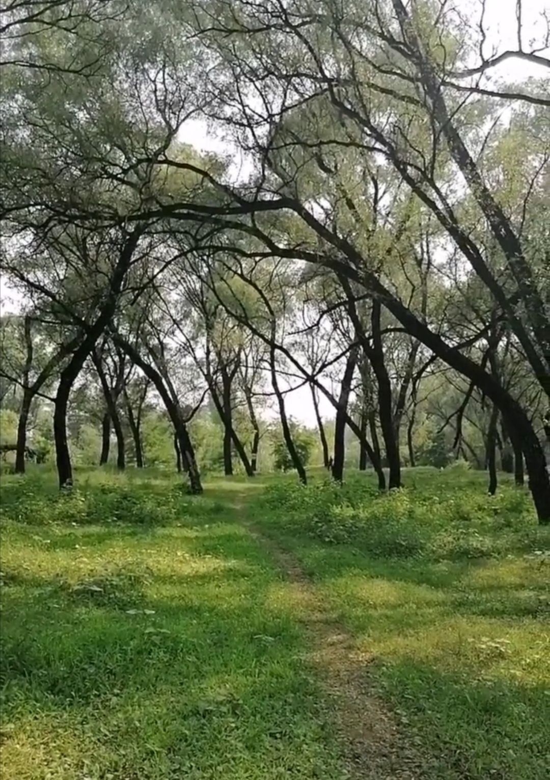 龙山水岸文化园旅行图片 1