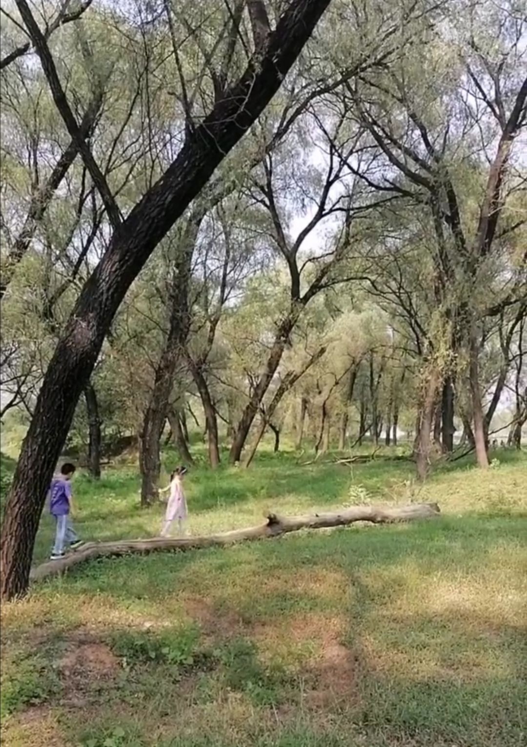 龙山水岸文化园旅行图片 3