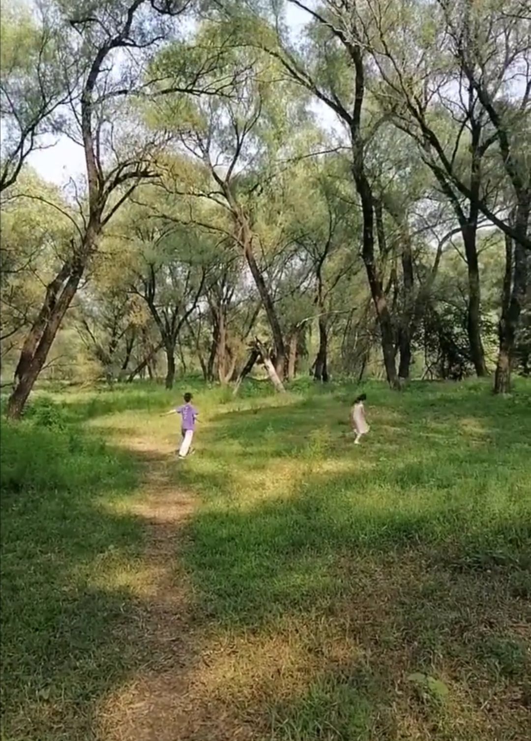 龙山水岸文化园旅行图片 2