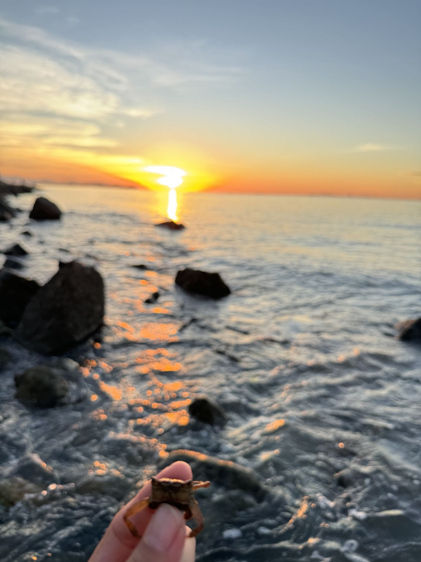 晓澳海滩旅行图片 3