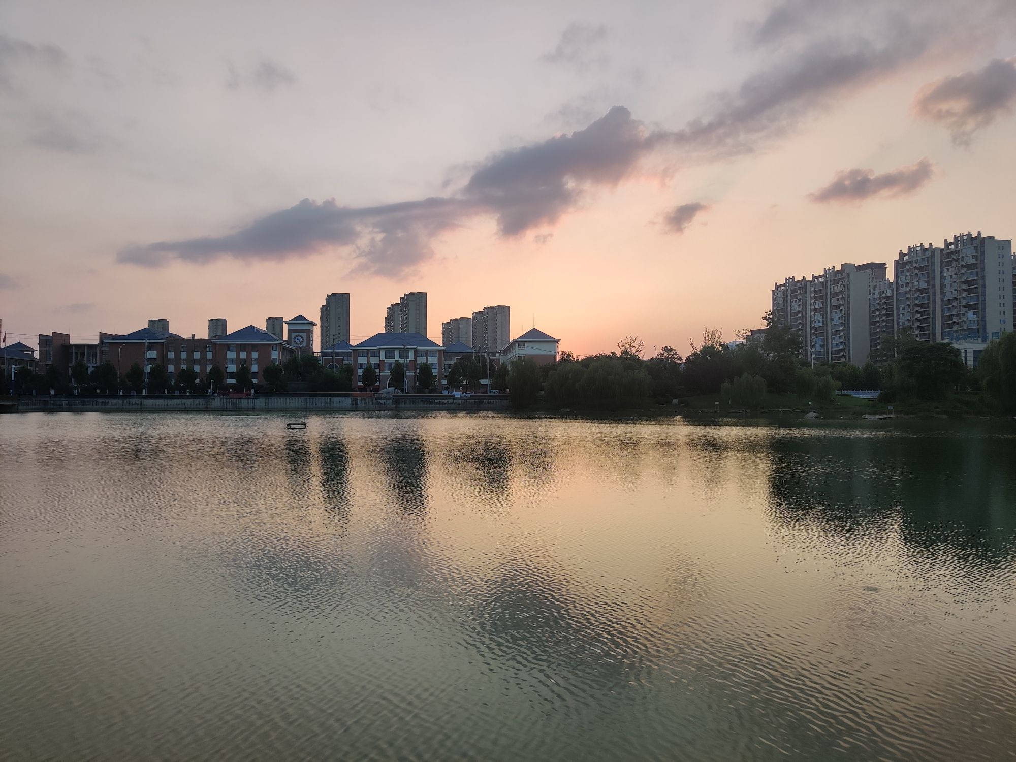 抱龙公园旅行图片 1