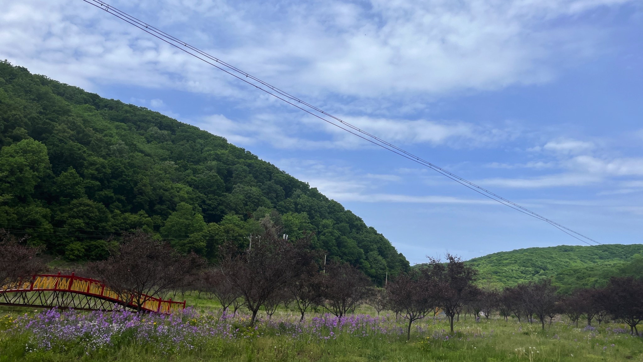 大北岔风景区旅行图片 1