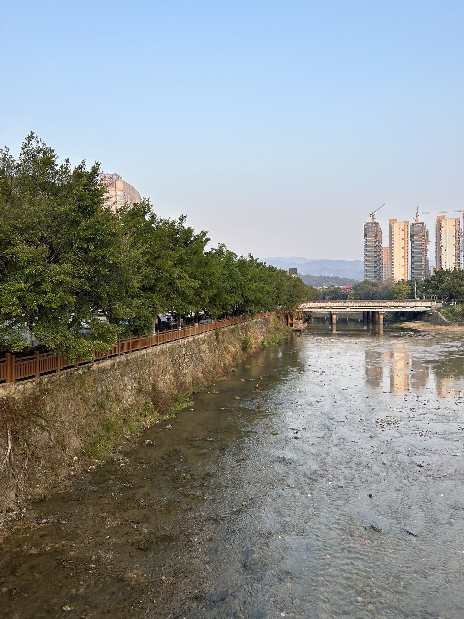 龙津湖公园旅行图片 2
