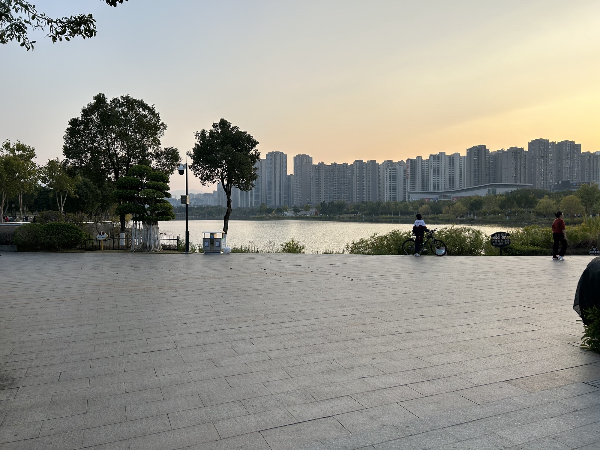 龙津湖公园旅行图片 3