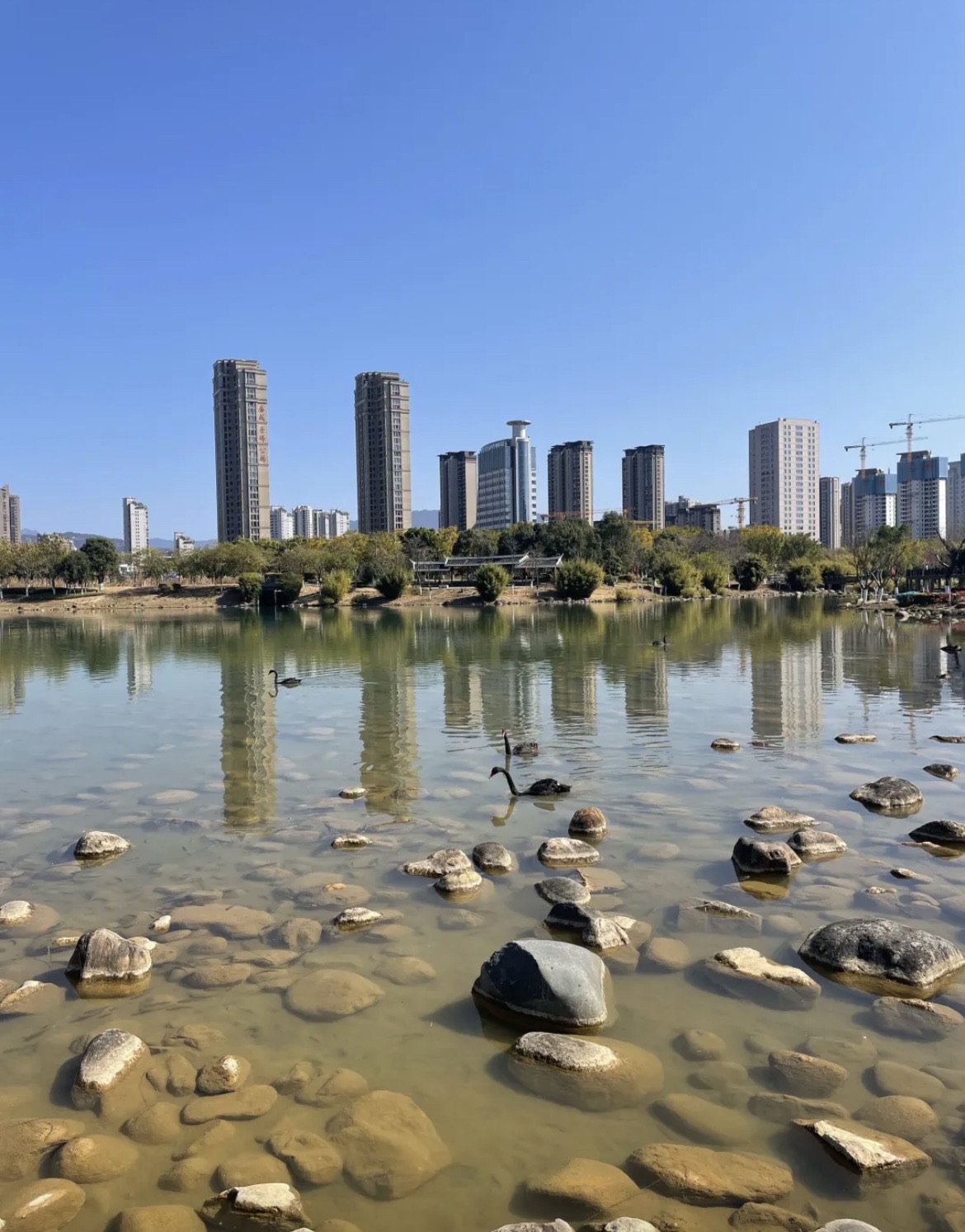 龙津湖公园