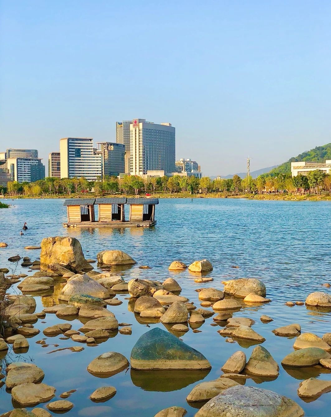 龙津湖公园