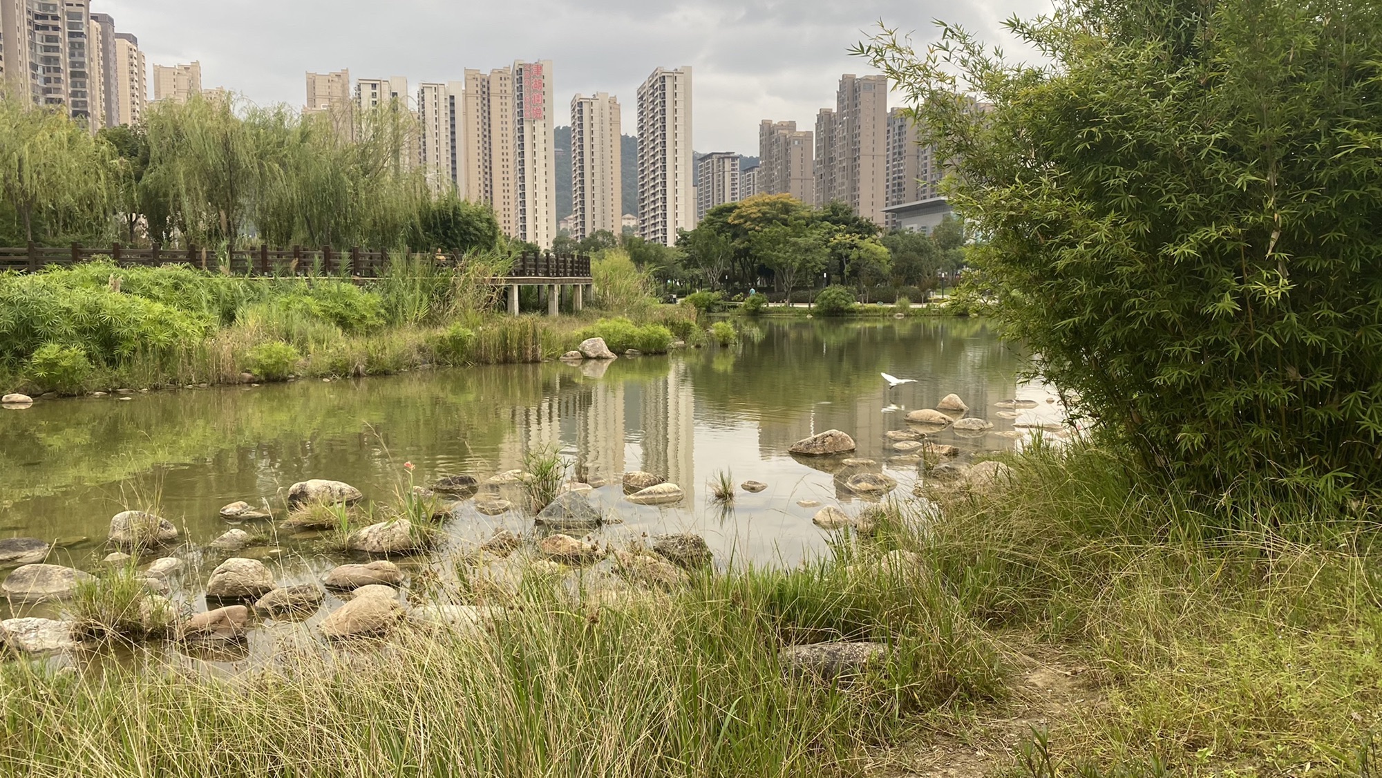 龙津湖公园旅行图片 1