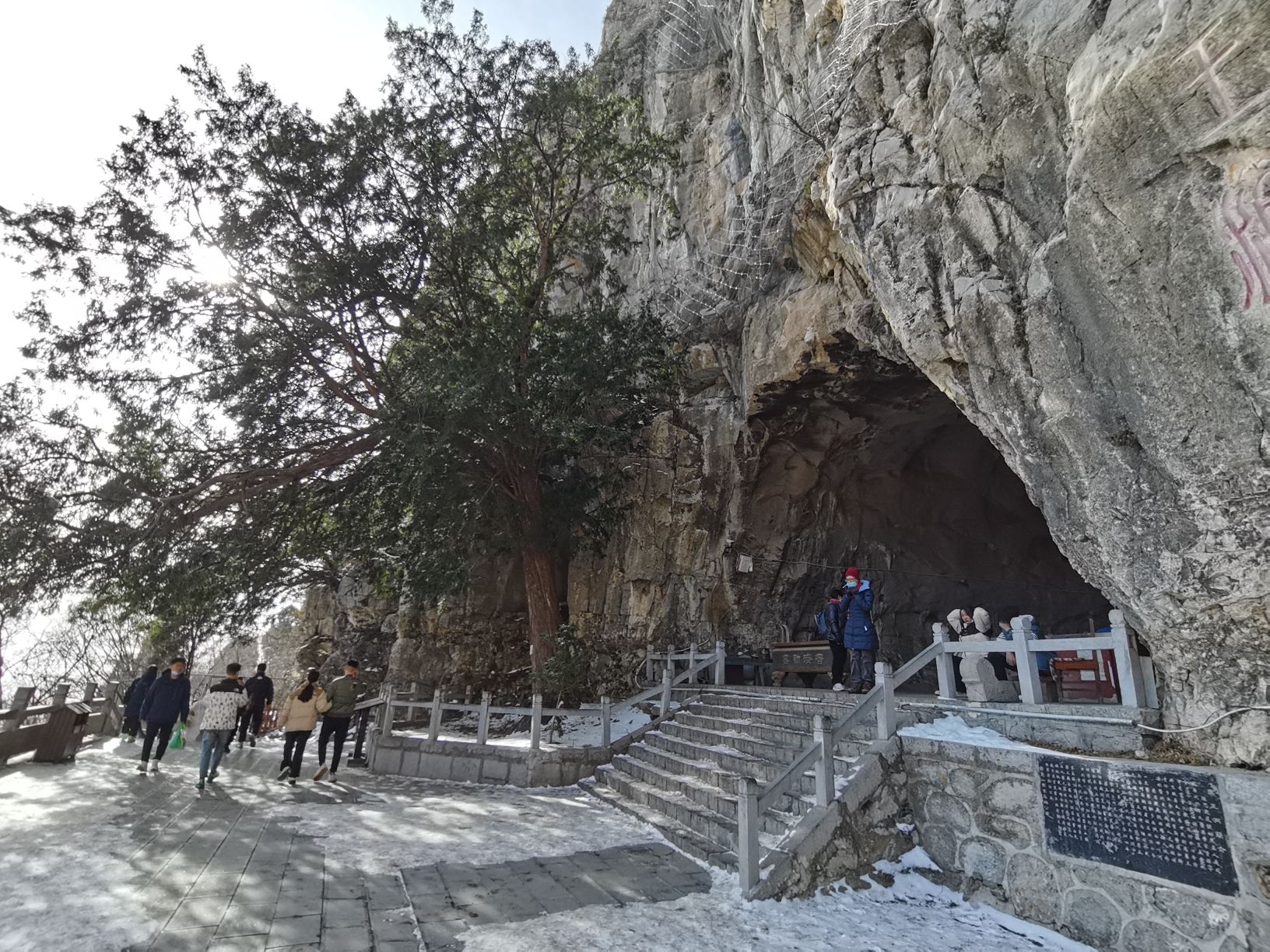 茱萸峰景区-红豆杉旅行图片 3