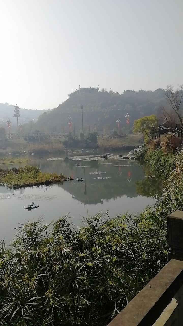 南湖公园旅行图片 2