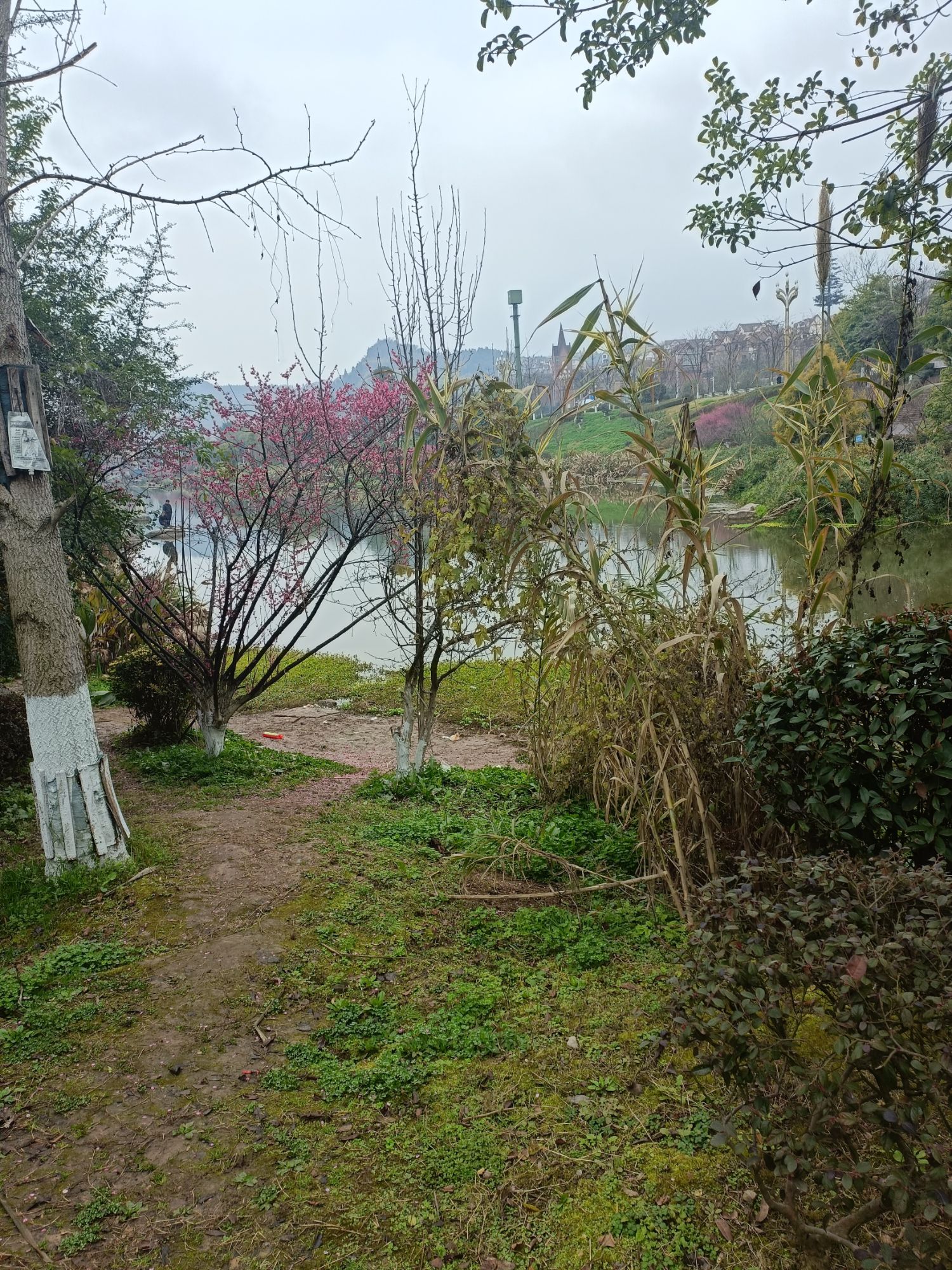 南湖公园旅行图片 3