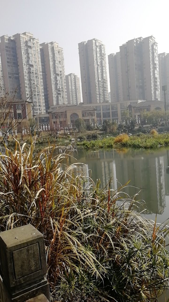 南湖公园旅行图片 1