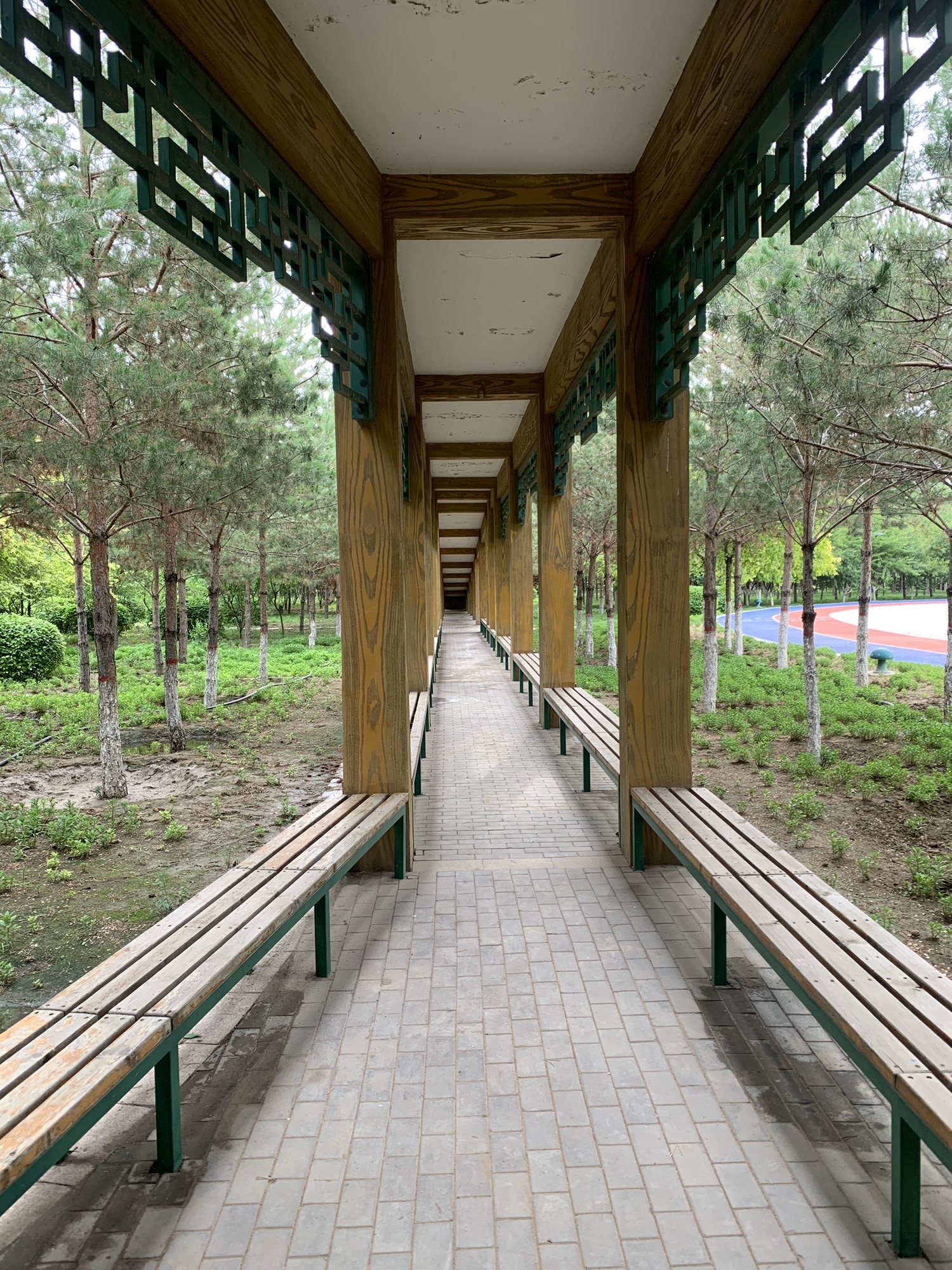 劳模公园旅行图片 1