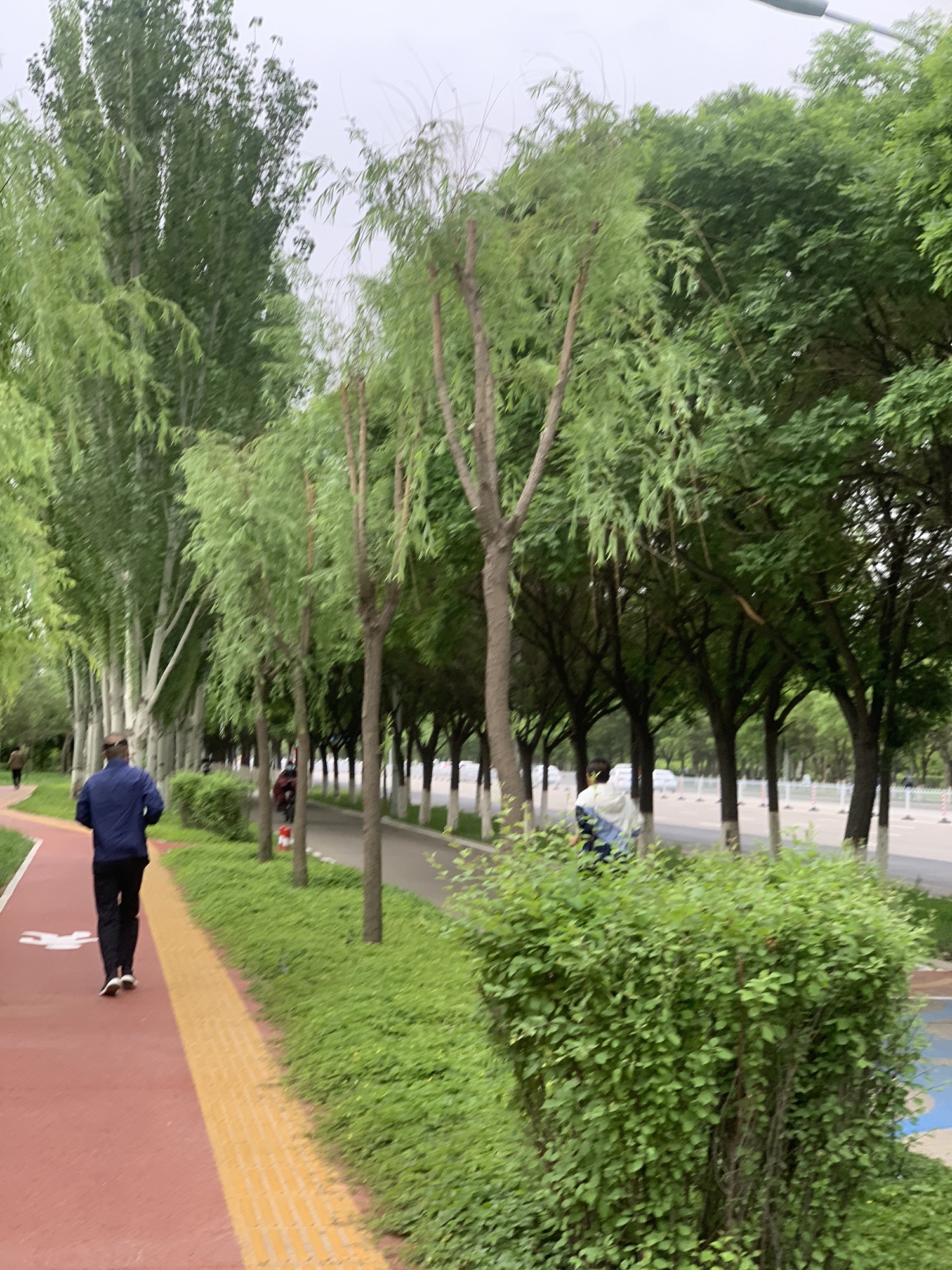 劳模公园旅行图片 3