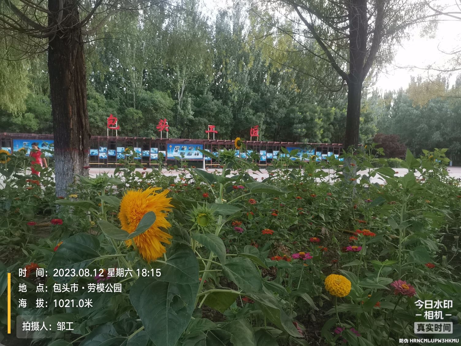 劳模公园旅行图片 2
