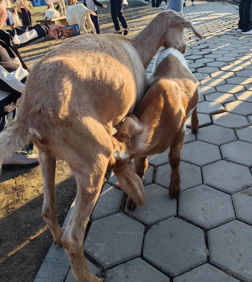 老院子景区旅行图片 2