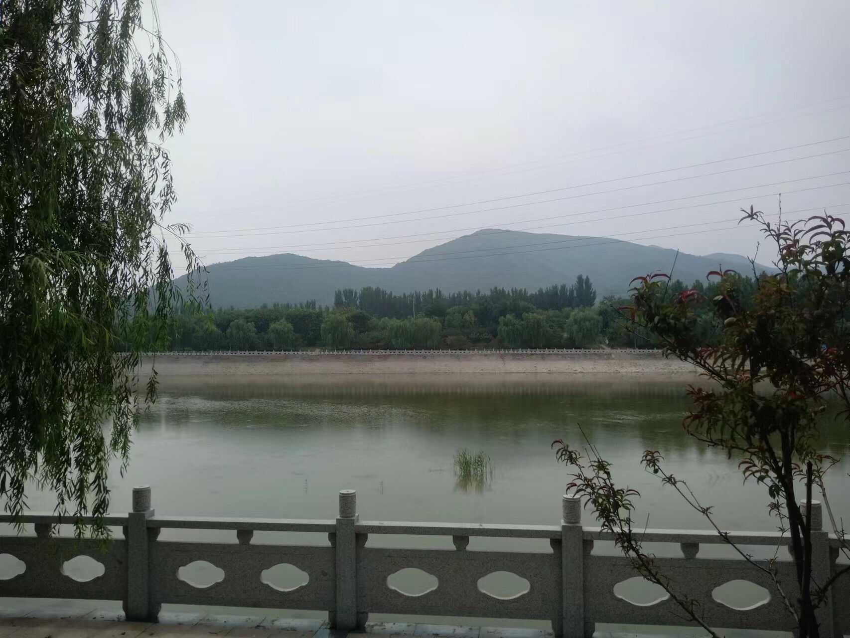 邹平广泽湖旅行图片 1