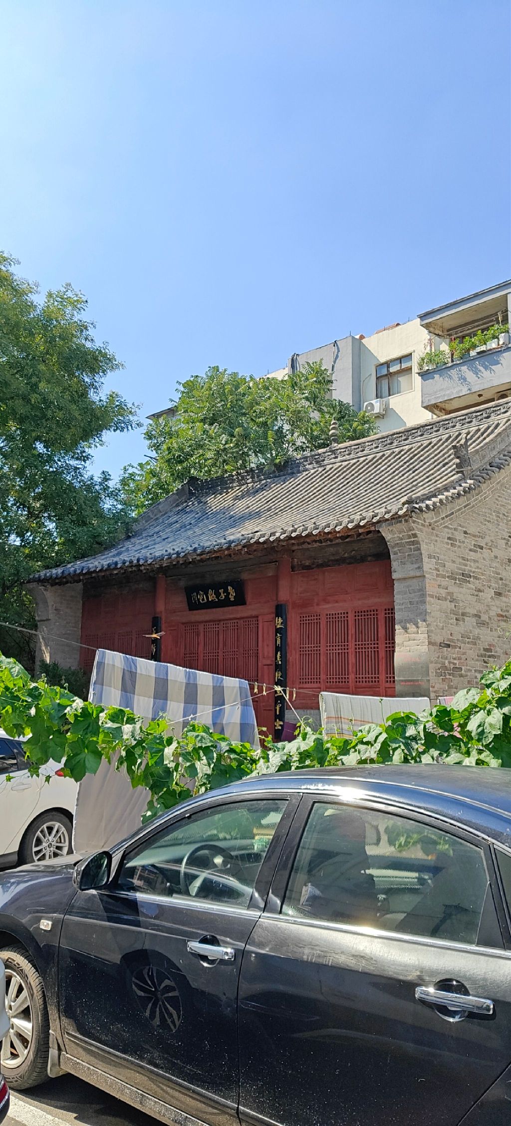 老子故宅旅行图片 1