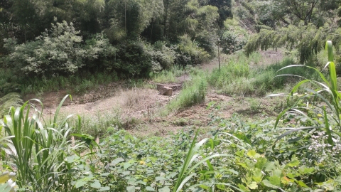 赤壁-市茶庵岭镇百布泉瀑布