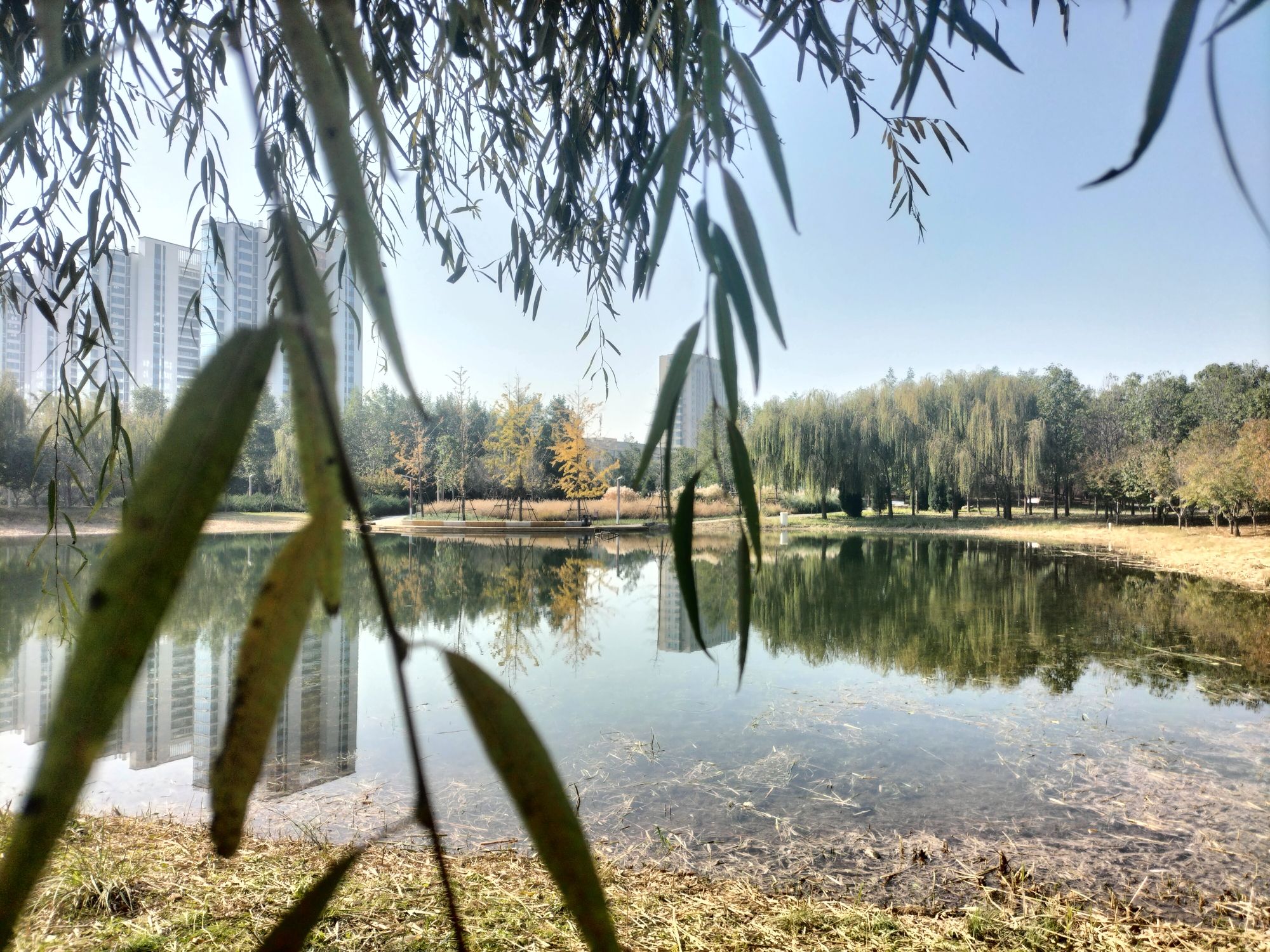 汝州市中央公园旅行图片 2