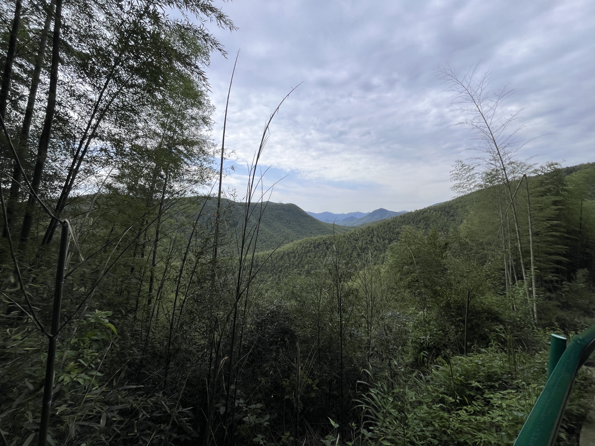 笄山竹海旅行图片 3
