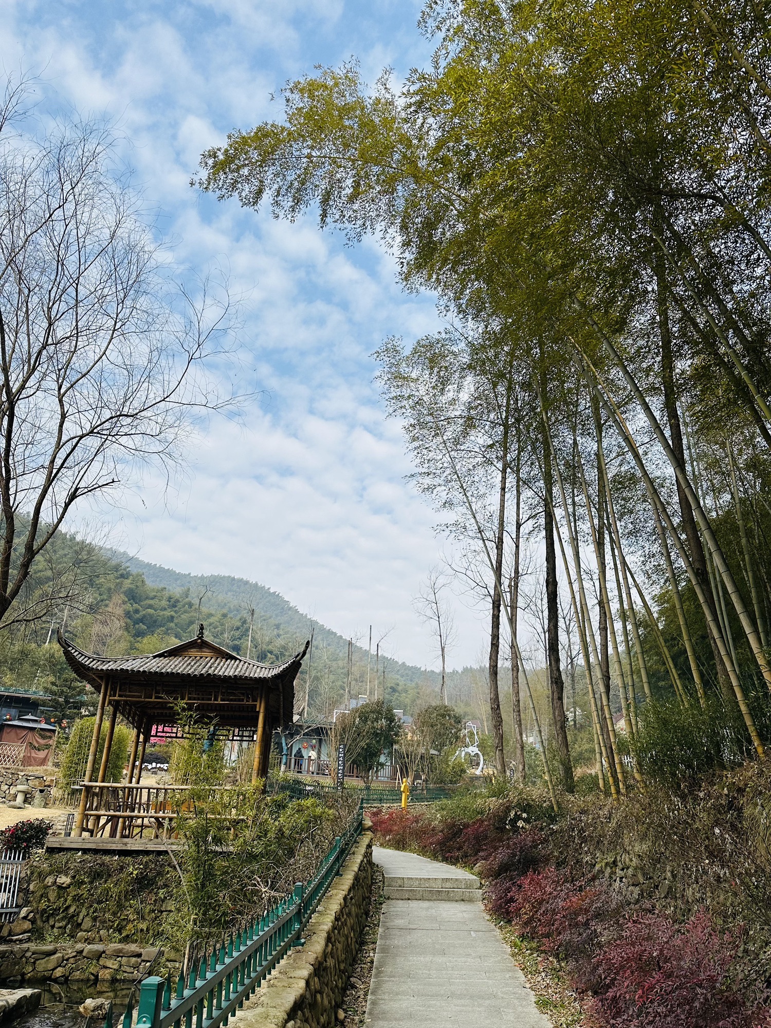 笄山竹海旅行图片 2