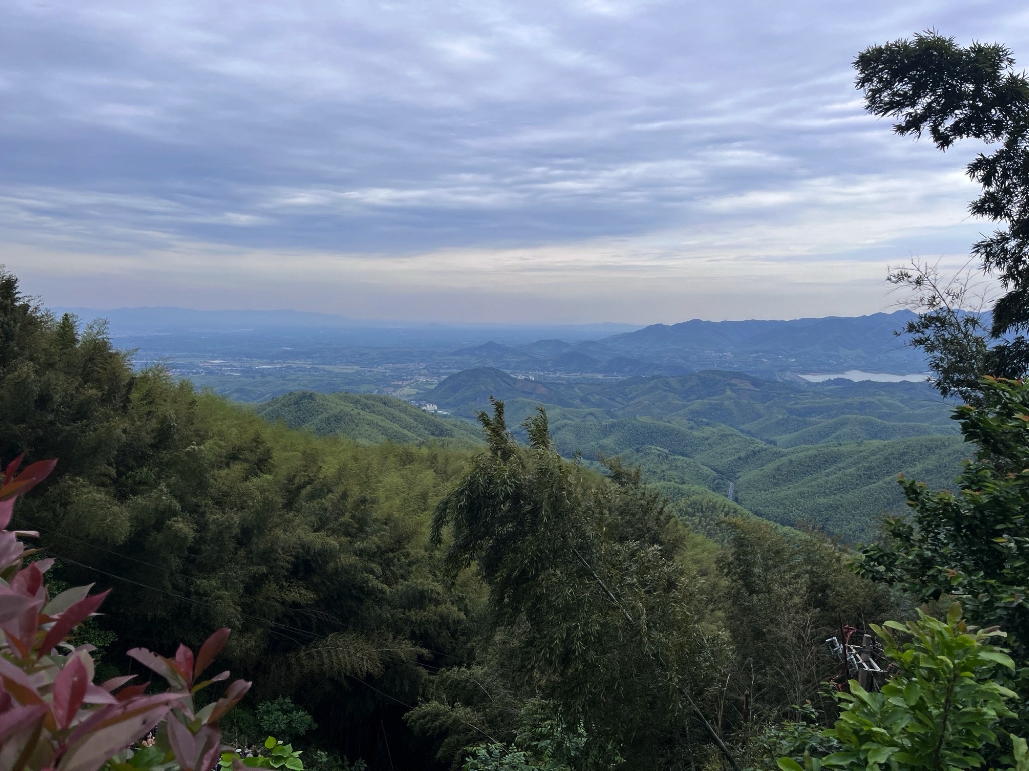 笄山竹海旅行图片 1