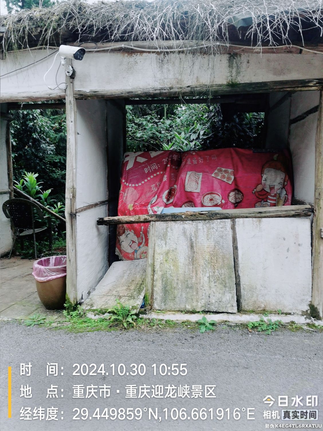 重庆5D玻璃桥旅行图片 3