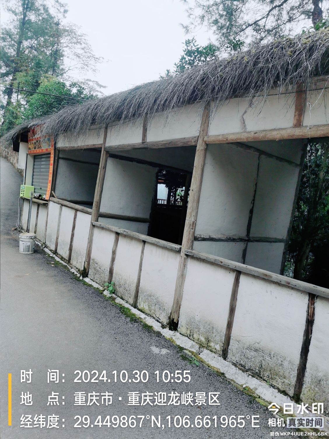 重庆5D玻璃桥旅行图片 2