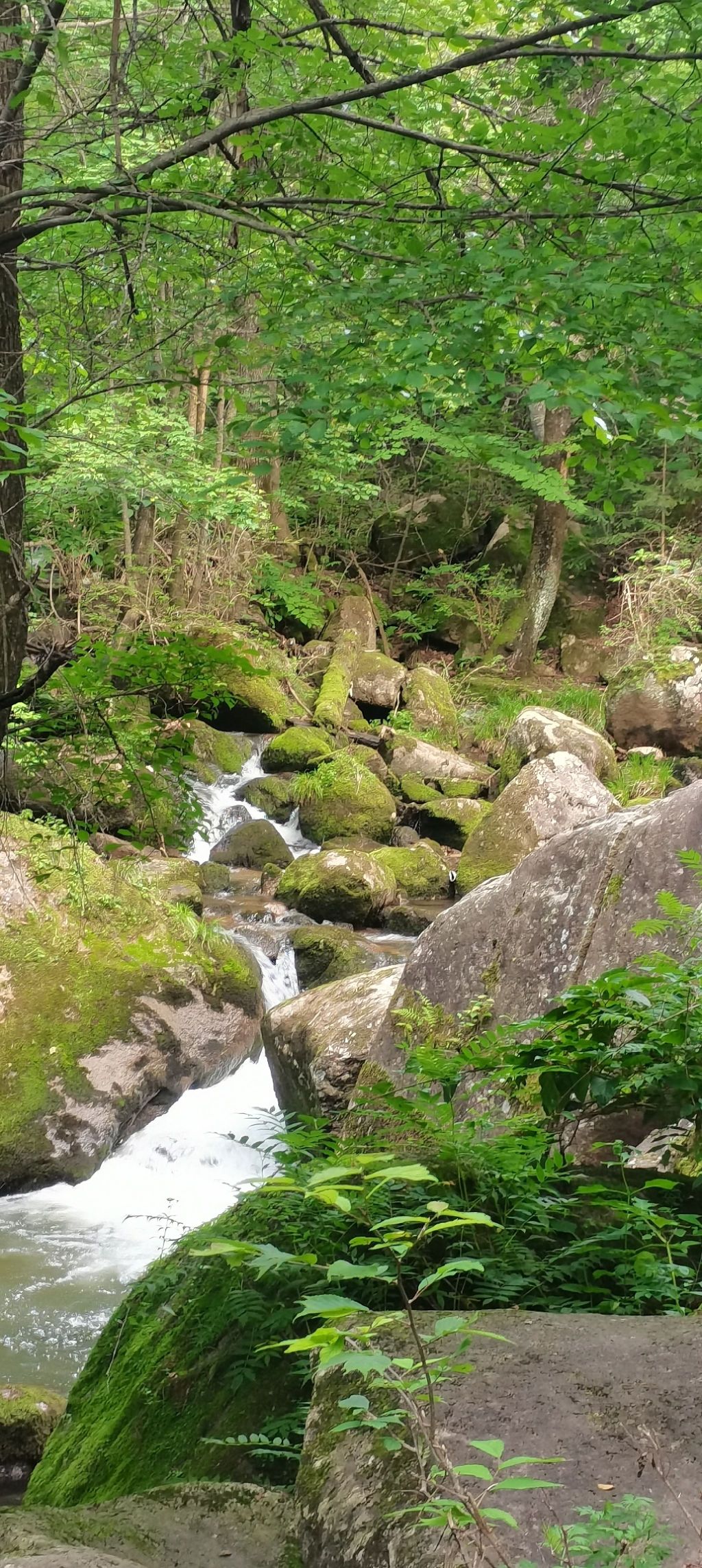 蛟河天岗太平沟旅行图片 2