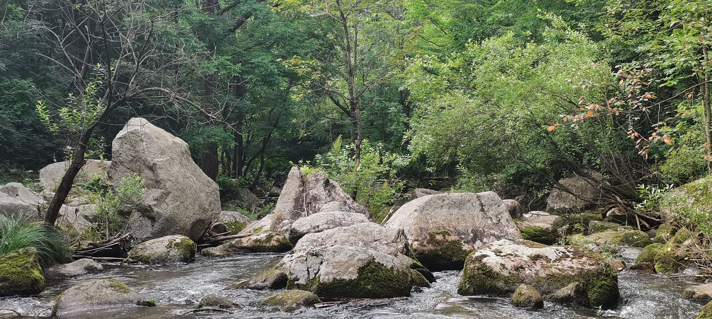 蛟河天岗太平沟旅行图片 3